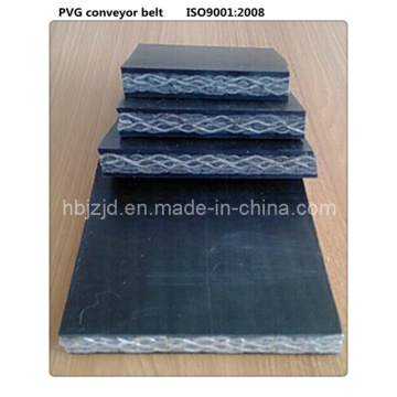 1000s PVC/Pvg Conveyor Belt